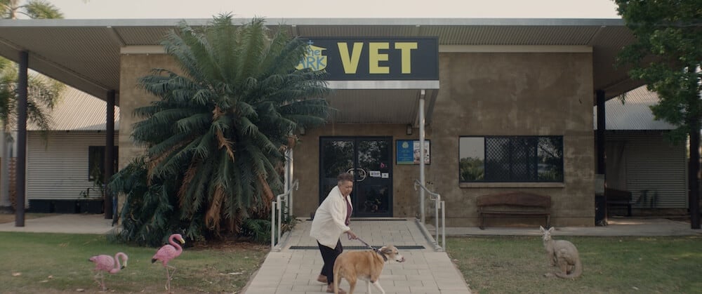 Screen grab from 'Bear,' cinematography by Caro Macdonald