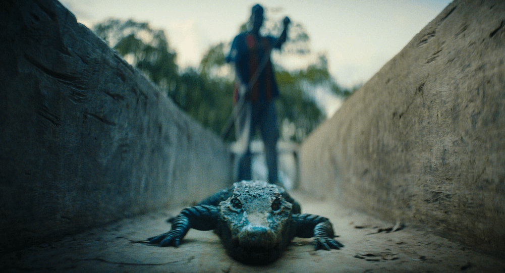 Intriguing low angle shot of an alligator for Yohann Gloaguen's 'Prosper'